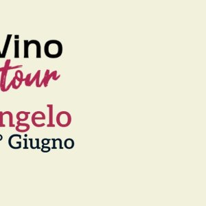 Borgo diVino