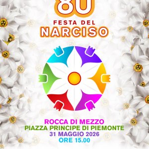 Festa del Narciso