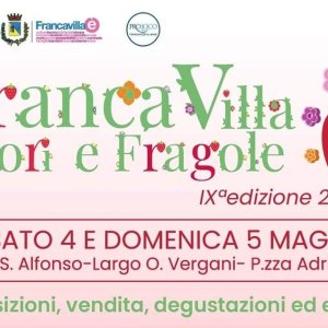 Francavilla Fiori e Fragole