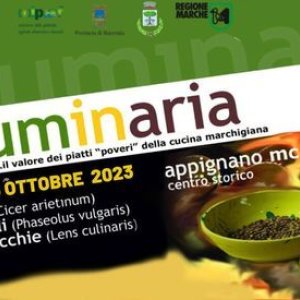 Leguminaria